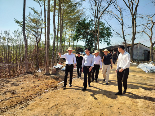 c141c11c416dac1a2621a4d736cd0e1c.png 省林業(yè)局到卅嶺1.png