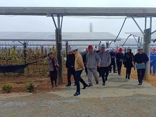 2cc96dd5d2a40a1632d29a5aa1276601.png 省工業(yè)和信息化廳副廳長吳東文及縱向幫扶組團單位一行到葵潭農(nóng)場調(diào)研3.png