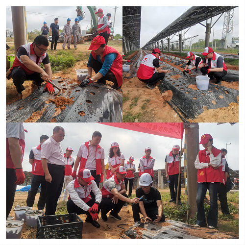 82977ce6b3bfb470da7cd834327fbcb6.png 現(xiàn)場種植.png