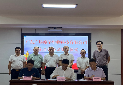 aaf53dfe6dd1f35f3267e50a27b6fa83.png 魔芋1.png