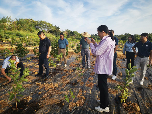 1df4d28baa3c5be5c4ee5c6a4e4b905c.png 揭陽農(nóng)墾拆舊復(fù)墾項(xiàng)目1.png