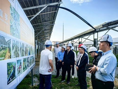 313fea9d63869d606f539b38d441e18b.png 佛岡縣委副書(shū)記劉政調(diào)研.png